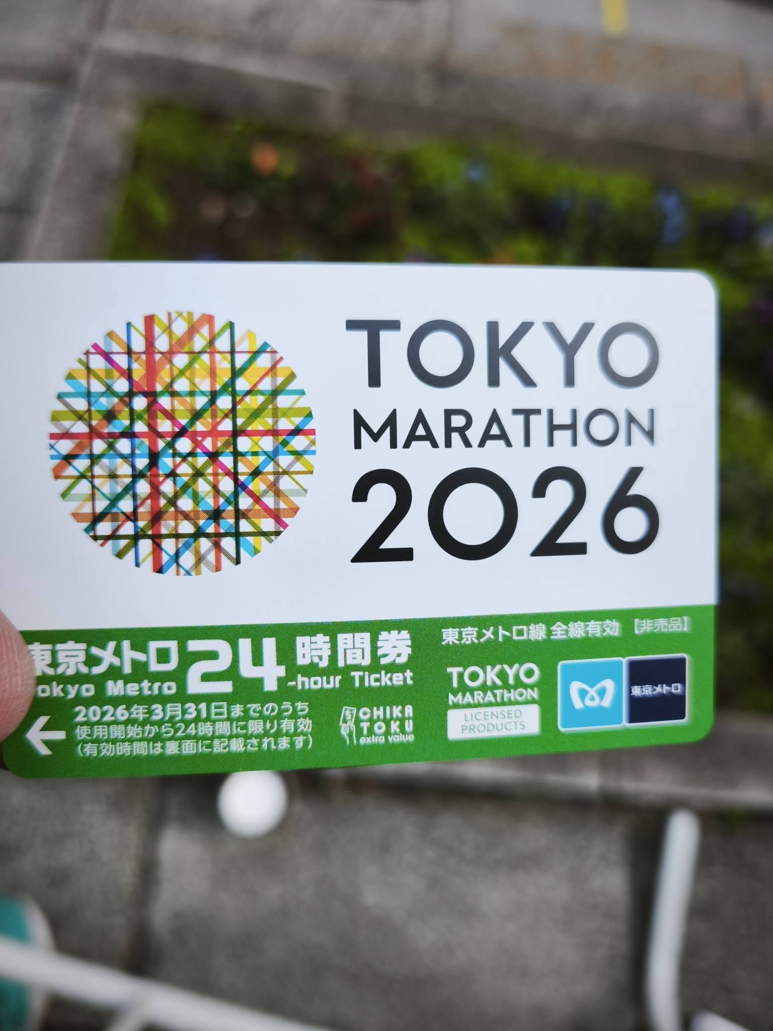 650913529_26130194996591505_5919666526134796230_n 650913529_26130194996591505_5919666526134796230_n